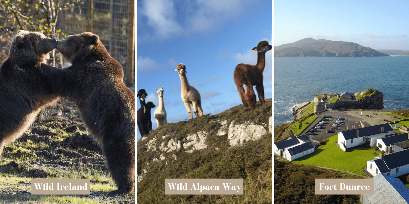 Family activities in Donegal