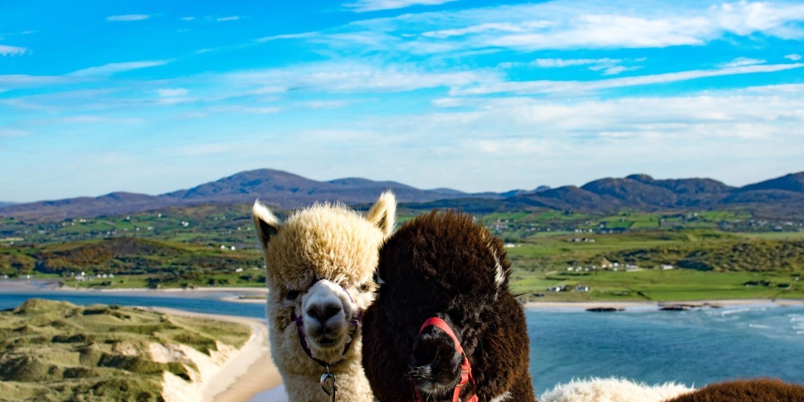 Wild Atlantic Way Donegal