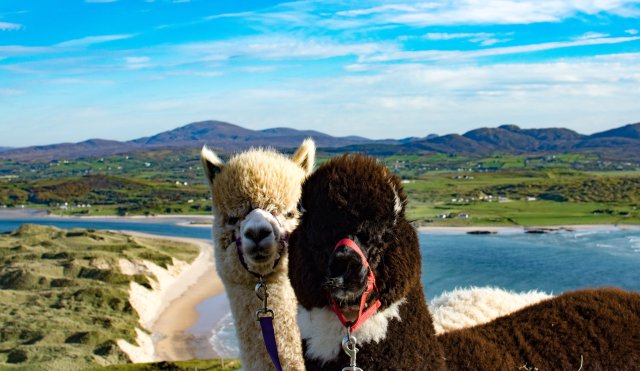 Seagrass Wellbeing Centre