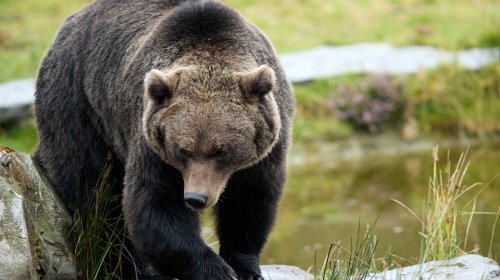 Es sei denn, sie sind blind