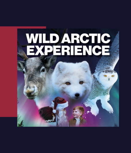 Wild Ireland Arctic experience WEBSITE - Inishowen Gateway